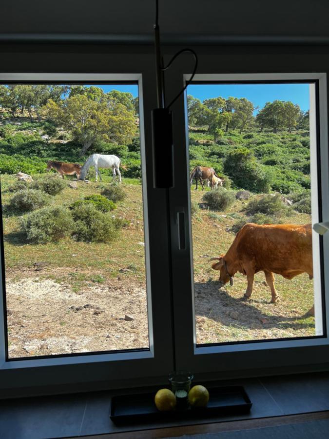 Cortijo Las Cabrerizas Facinas Ngoại thất bức ảnh